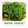 有機苔菜