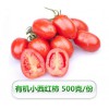 有機小西紅柿