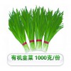 頭茬有機高白韭菜套裝