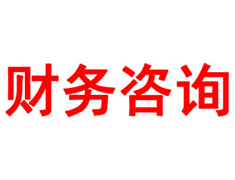 財務(wù)咨詢